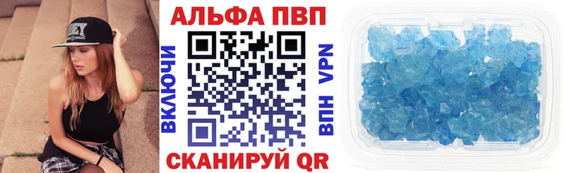 A PVP СК КРИС  Кингисепп 