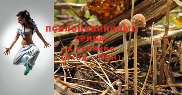 гидропоника Алзамай