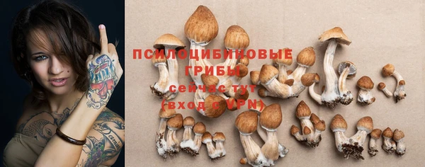 первитин Алексин