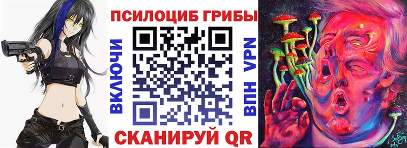 магазин    Кингисепп  Галлюциногенные грибы прущие грибы 