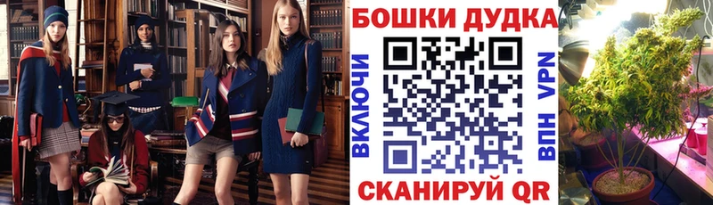 Марихуана ГИДРОПОН Кингисепп